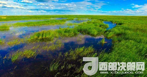 呼倫湖濕地。吳勇攝