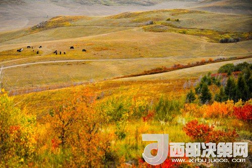 錫林郭勒草原國家級自然保護區(qū)。吳勇攝