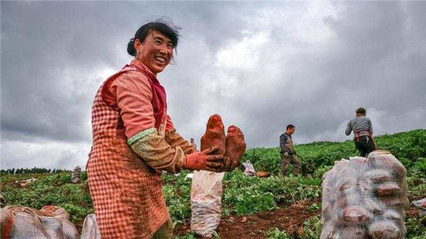 點(diǎn)擊進(jìn)入下一頁