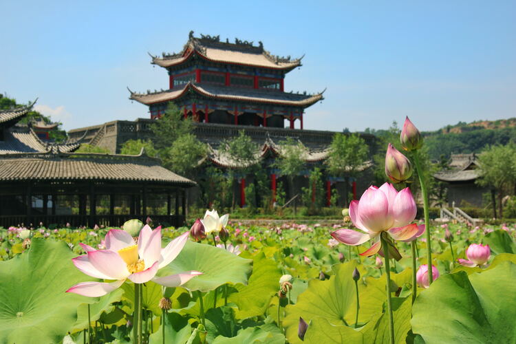 【云游渭南】心中若有桃花源，此處便是水云間！待疫情散盡，一起來渭南桃花源賞美景、觀民俗、享美食_fororder_2